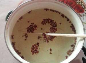 粘鱼须的功效与作用