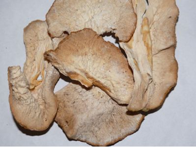 独叶白芨的功效与作用