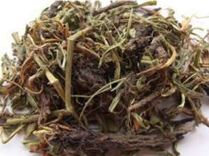 桑沥的功效与作用