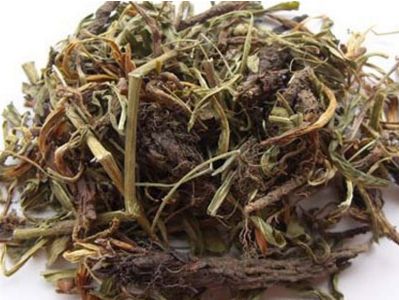桑沥的功效与作用