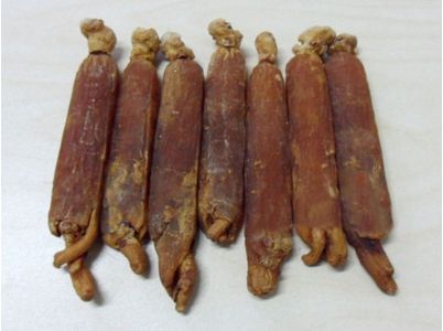 王伯岳百年诞辰学术研讨会召开